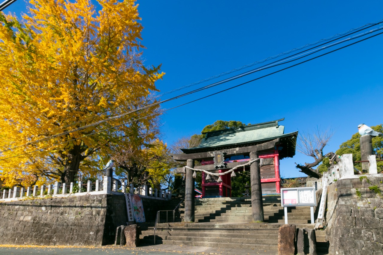 駛馬天満宮のイチョウ