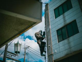 画像：新栄町周辺のゴリラのオブジェ