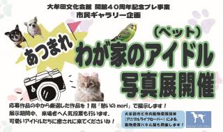 HP用開催画像.jpg