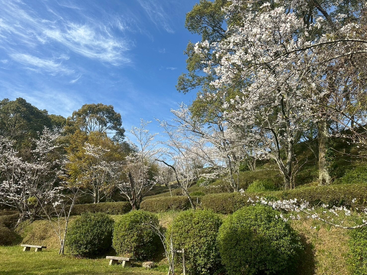 三池公園3